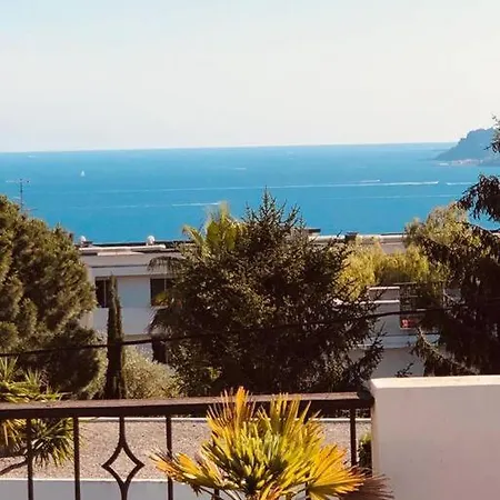 Wonferful With Swimming Pool * Cannes